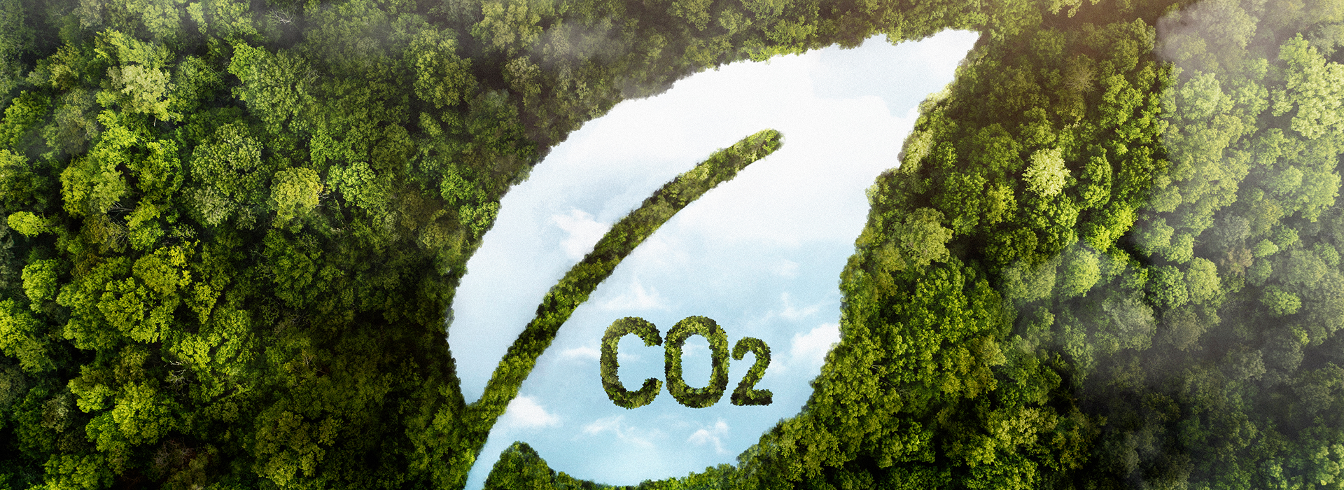 Community Solar Initiative